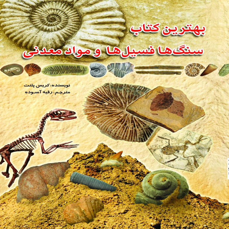 کتاب سنگ ها فسیل ها و مواد معدنی اثر کریس پلنت