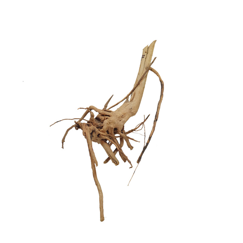 تنه درخت تزیینی مدل ریشه آبنوس کد 42