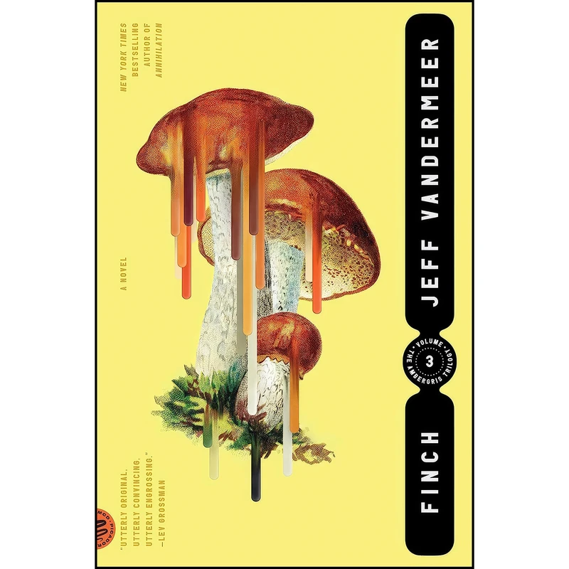 کتاب Finch  اثر Jeff VanderMeer انتشارات Picador Paper