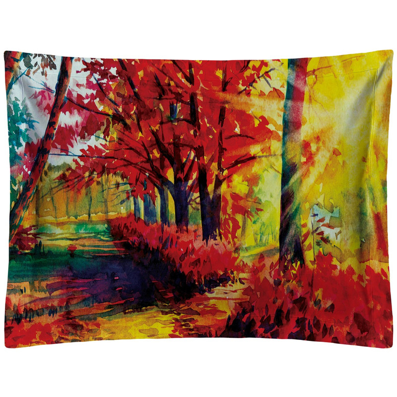 روبالشی رنس مدل P1-20116 سایز 50x70