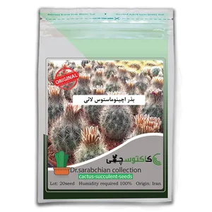 بذر اچینوماستوس لائی کاکتوسچی مدل AM-014