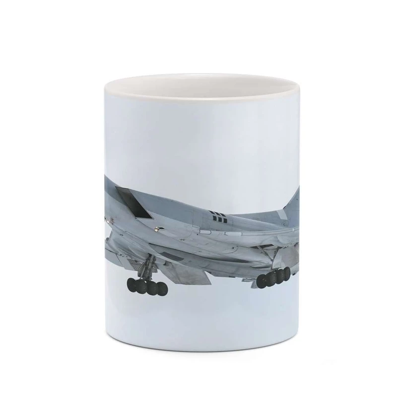 ماگ کاکتی مدل هواپیمای جنگنده کد mgh20370