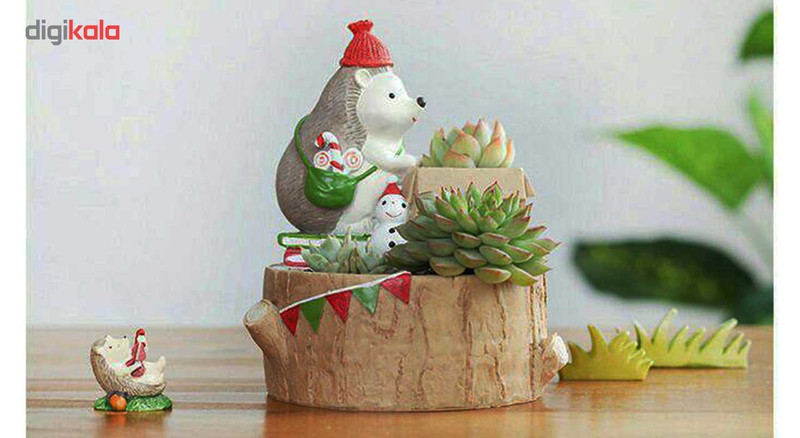 گلدان دکوگل طرح جعبه و جوجه تیغیDG078