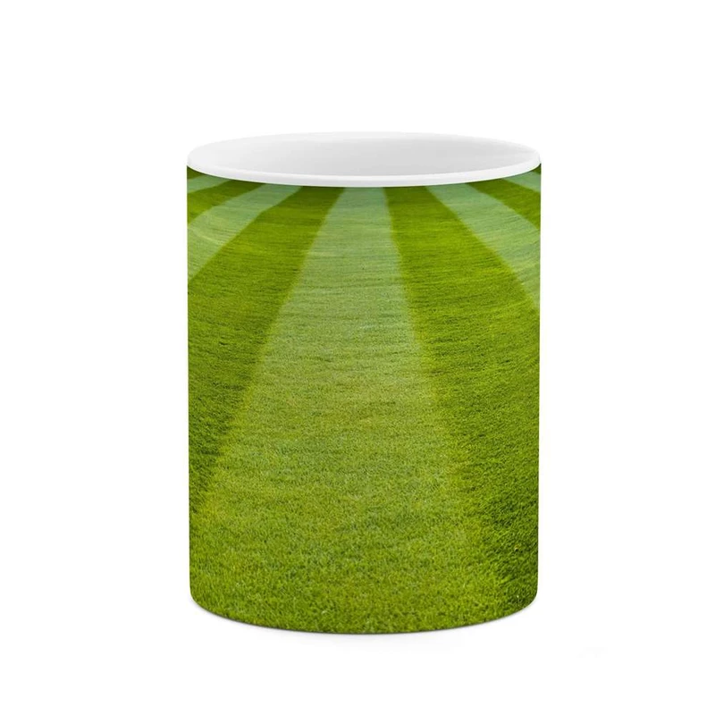 ماگ کاکتی مدل منظره کد mgh14710