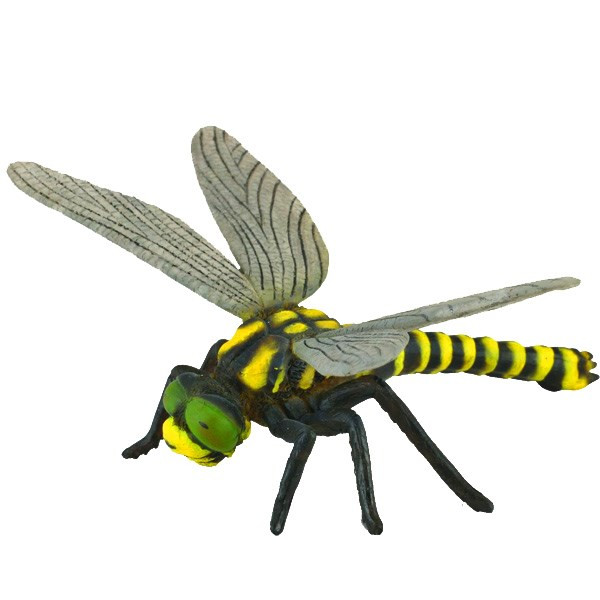 عروسک کالکتا مدل Golden Ringed Dragonfly 88350 طول 10 سانتی متر