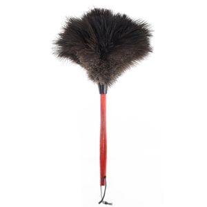 نقد و بررسی گردگیر آلین مدل Lux توسط خریداران