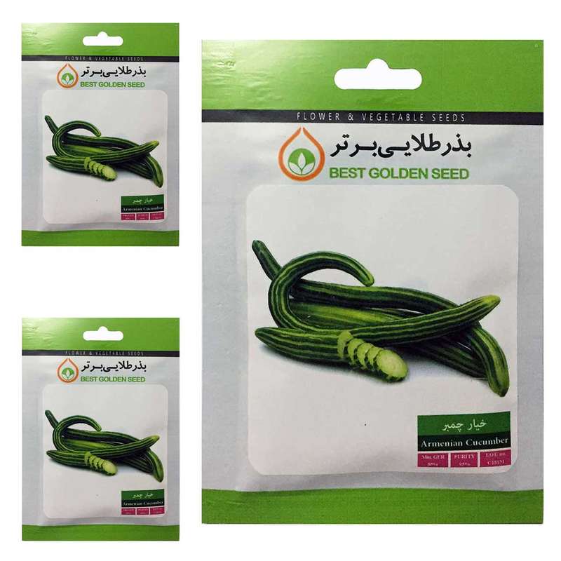 بذر خیار چمبر بذر طلایی برتر کد BTB-54 مجموعه 3 عددی