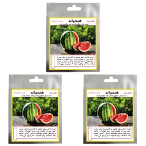 بذر هندوانه تالین مدل TAL-029 وزن 15 گرم مجموعه 3 عددی