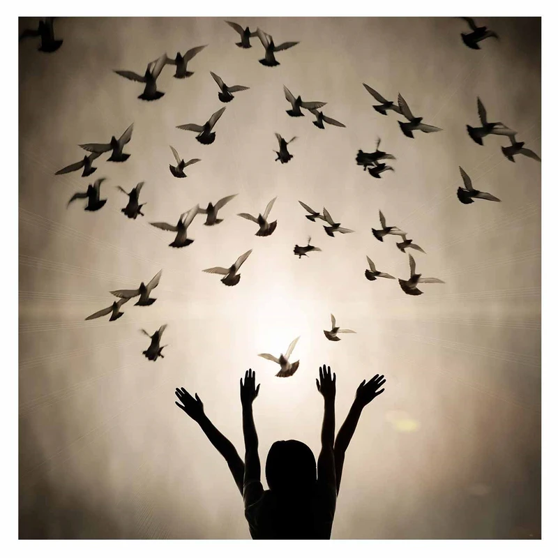 تابلو شاسی لابراتوار سهند طرح 404022 سایز 40x40 سانتی متر