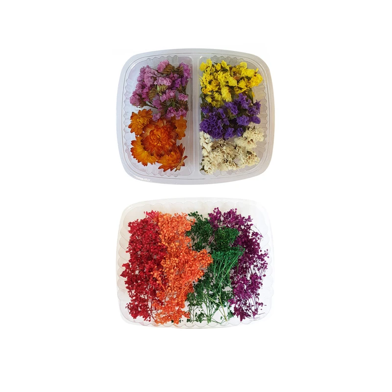 گل خشک مدل mixed 2 مجموعه دو عددی