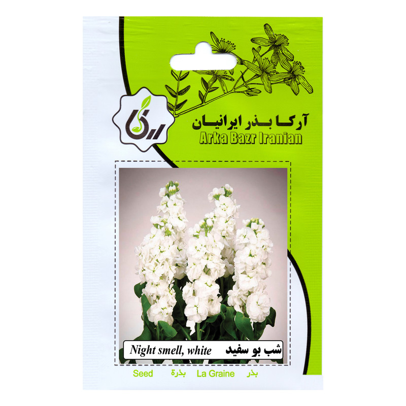 بذر گل شب بو سفید آرکا بذر ایرانیان کد 210-ARK
