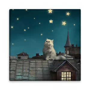 کاشی مدل M1186 طرح گربه و آسمان و ستاره