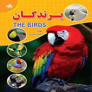 Birds book