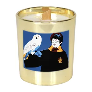 شمع لیوانی طرح هری پاتر مدل 1111