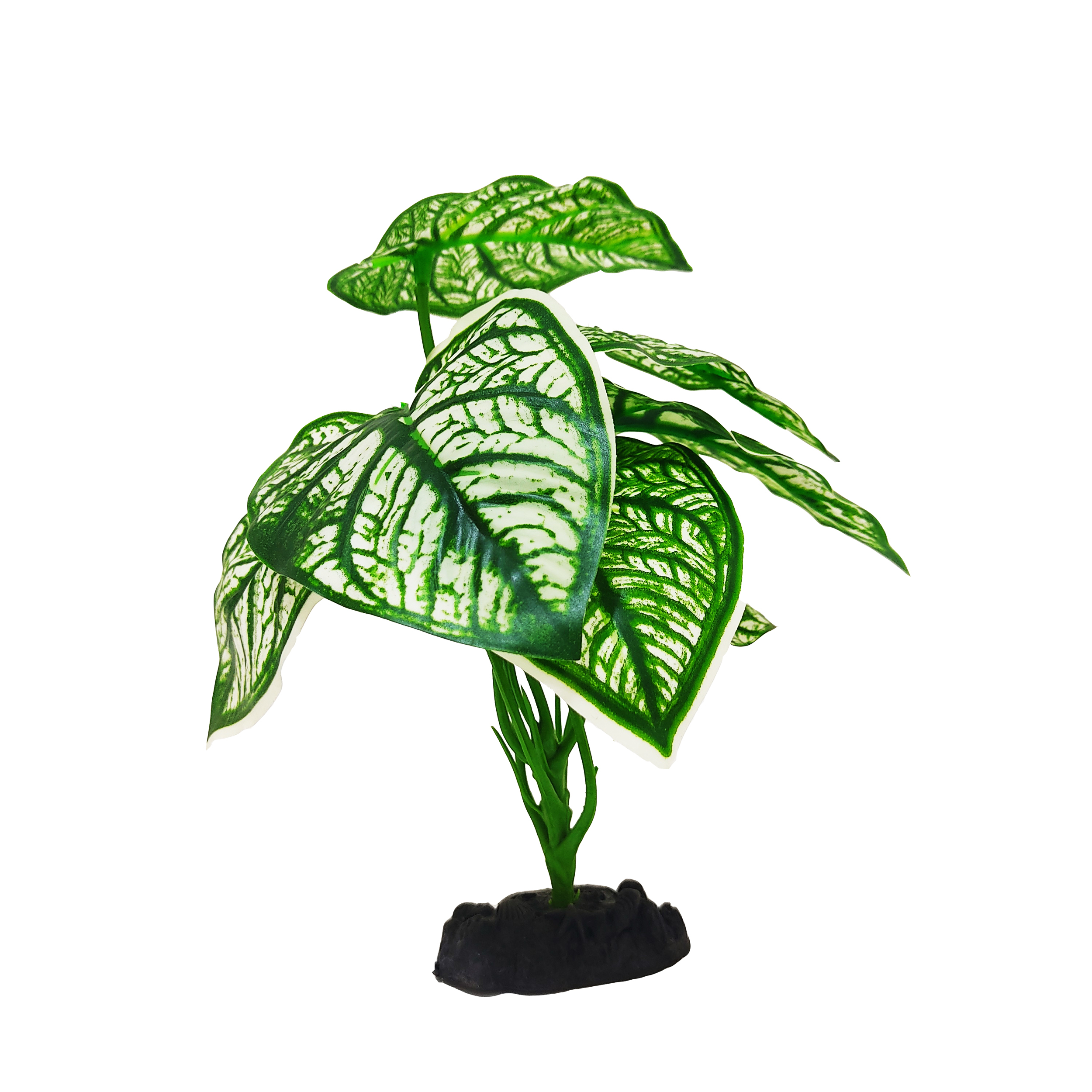 گیاه تزیینی آکواریوم کد H02