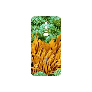 MAHOOT Atom Universe 6 Cover Sticker for OnePlus 6