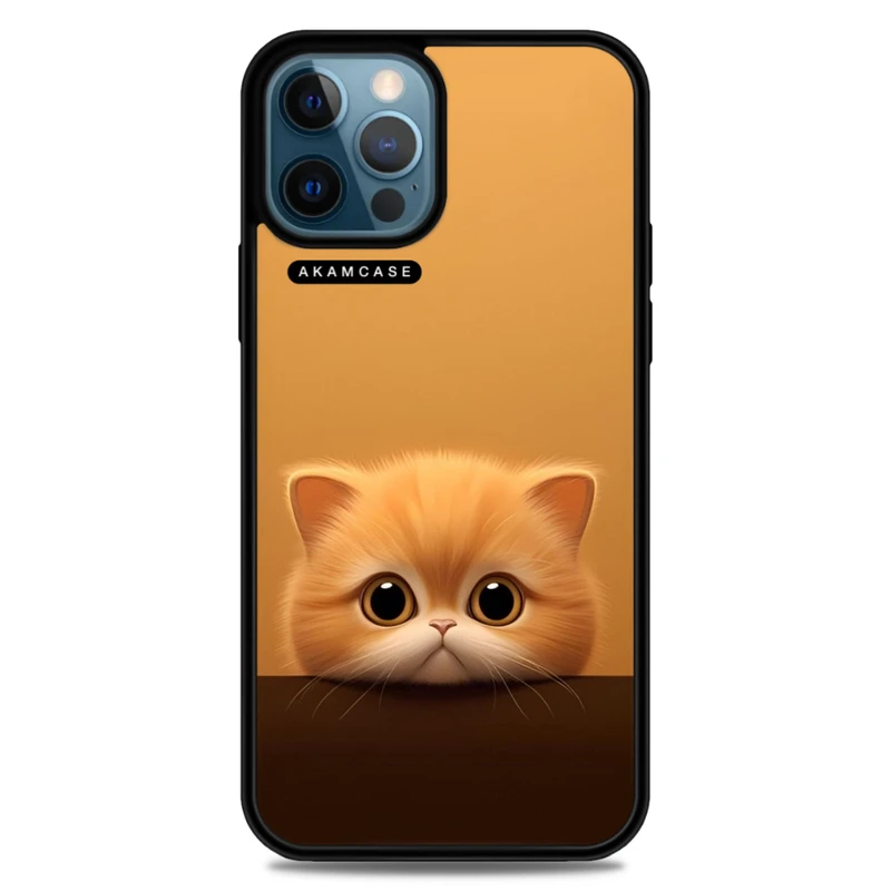 کاور آکام مدل AMC-WA12PROMAX-CATS16 مناسب برای گوشی موبایل اپل iPhone 12 Pro Max