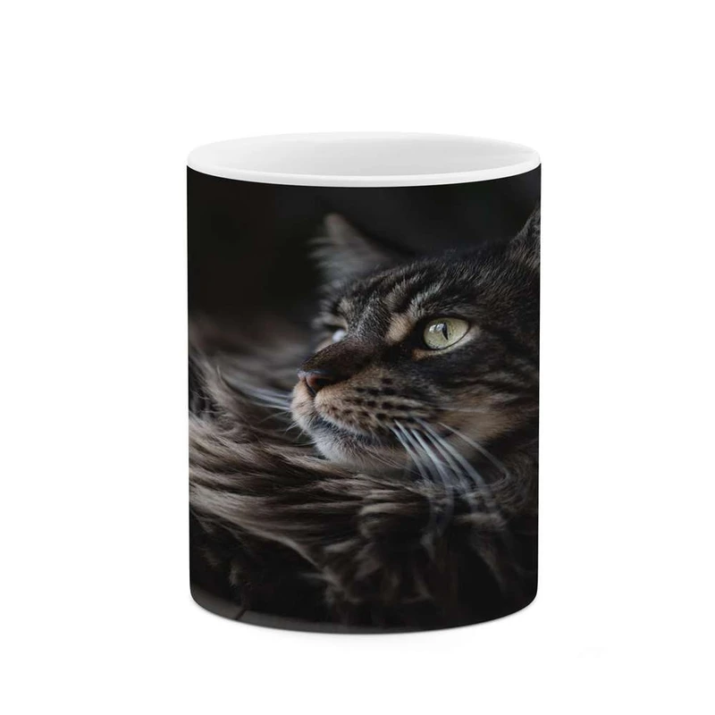 ماگ کاکتی مدل گربه کد mgh16143