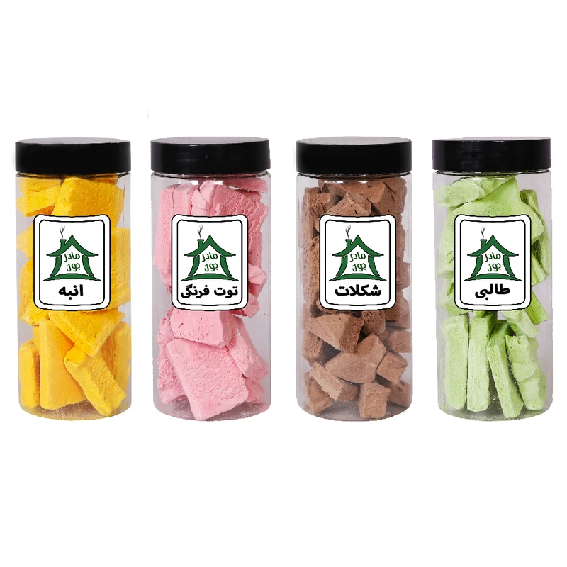 بستنی خشک طالبی ، شکلات ، توت فرنگی ، انبه خونه مادرجون - 500 گرم بسته 4 عددی