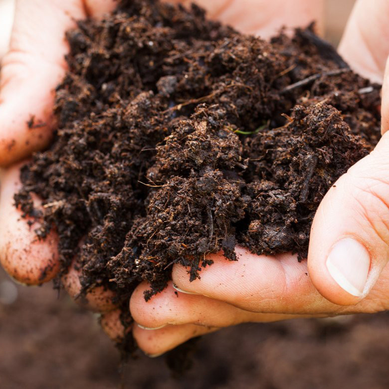 خاک برگ گلفام مدل GB12 حجم 12 لیتر خاک برگ گلفام مدل GB12 حجم 12 لیتر