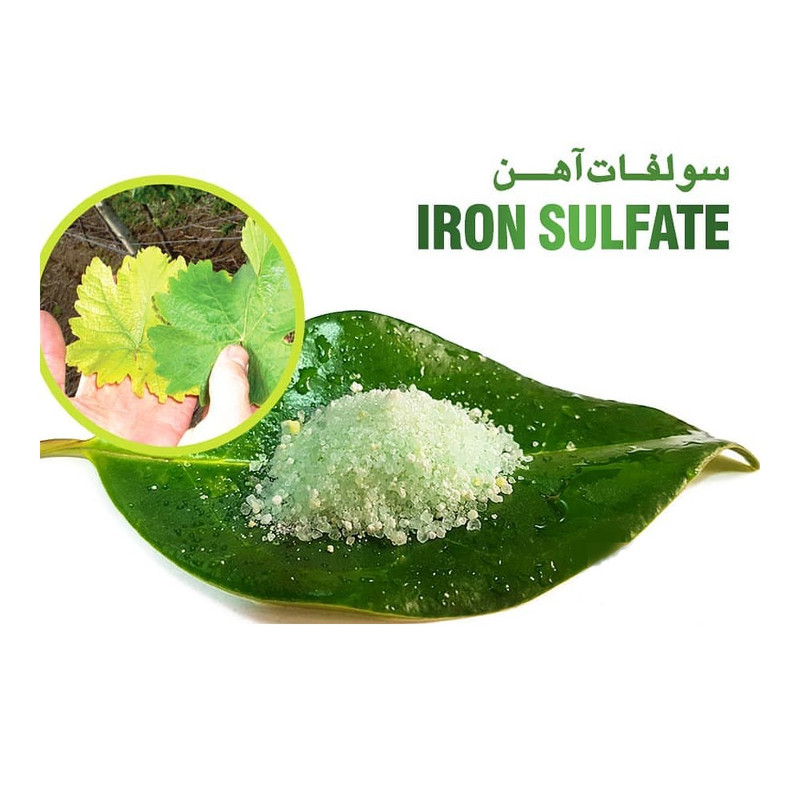 کود سولفات آهن تتاکو مدل VIGOROUS وزن 10 کیلوگرم کود سولفات آهن تتاکو مدل VIGOROUS وزن 10 کیلوگرم