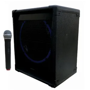 Tecnosound 12inch portable Echo amplifier model PTR4W with wireless microphone