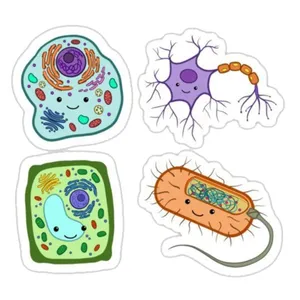 استیکر لپ تاپ و موبایل طرح سلول مجموعه 4 عددی 