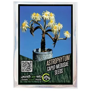 بذر کاکتوس آستروفیتوم کاپوت مدوسا خانه سبز گلدیس کد 42