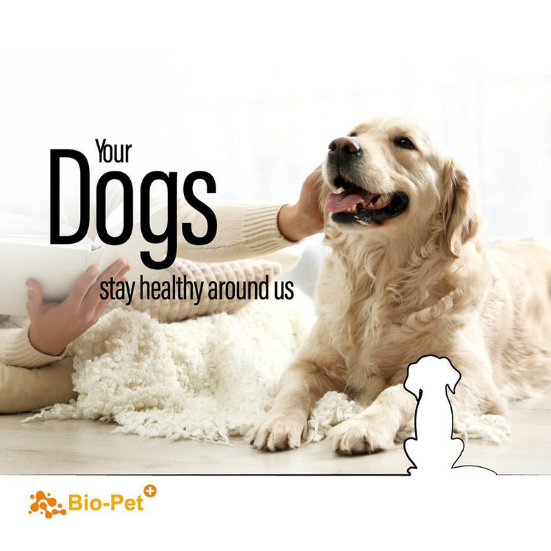پودر مکمل سگ بایو پت مدل Golden Retriever وزن 500 گرم
