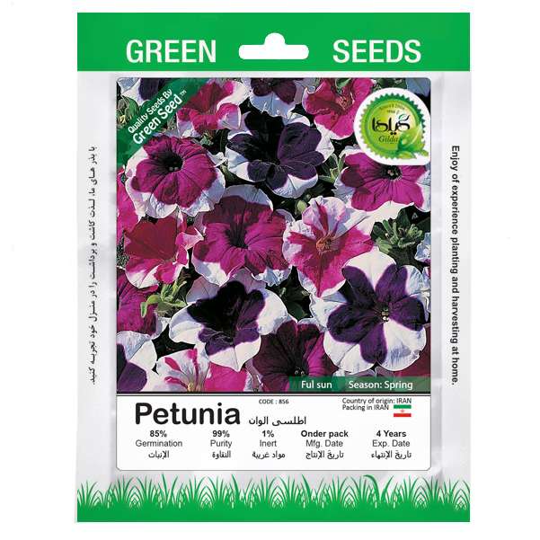 بذر اطلسی الوان گیلدا کد 856 بذر اطلسی الوان گیلدا کد 856