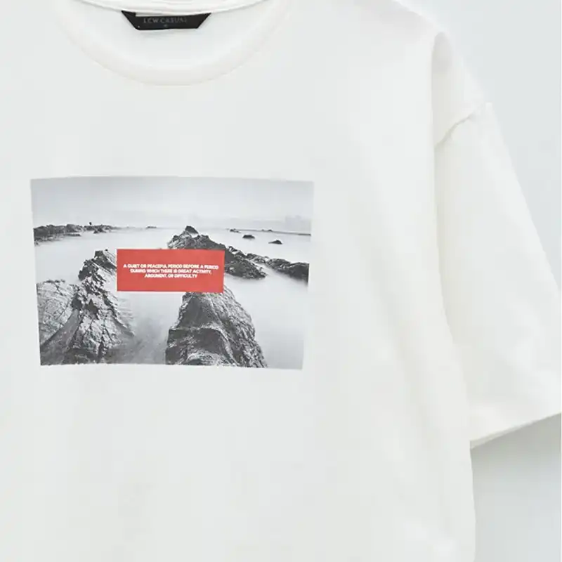 تی شرت آستین کوتاه مردانه ال سی وایکیکی مدل LC63082