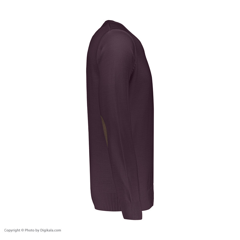 پلیور مردانه تریکو پاییزان مدل PR700 رنگ بادمجانی