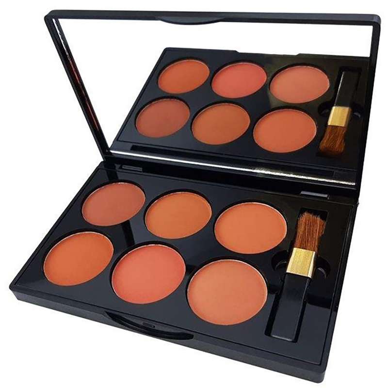 پالت رژ گونه دی سیل مدل 6in1 شماره B پالت رژ گونه دی سیل مدل 6in1 شماره B