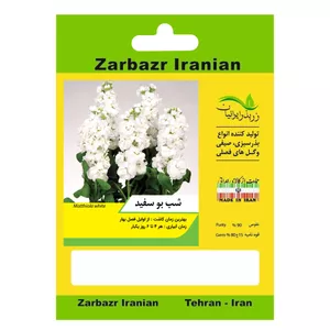 بذر گل شب بو سفید زربذر ایرانیان کد ZBP-91