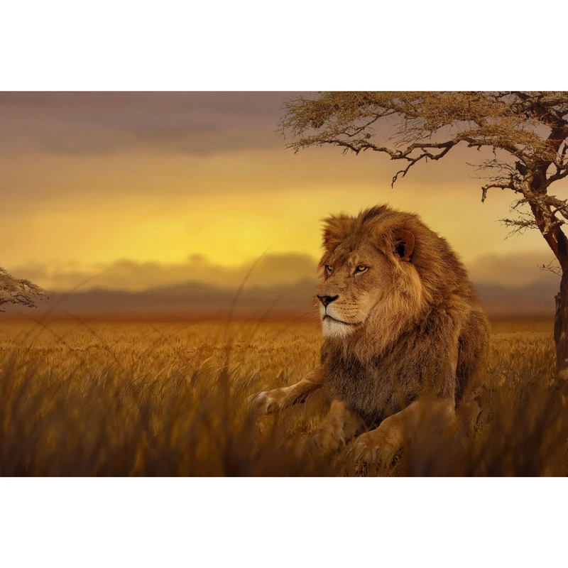 تابلو شاسی طرح شیر نر و درخت مدل T1627