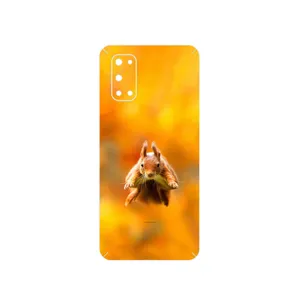 MAHOOT Squirrel Cover Sticker for Realme 7 5G