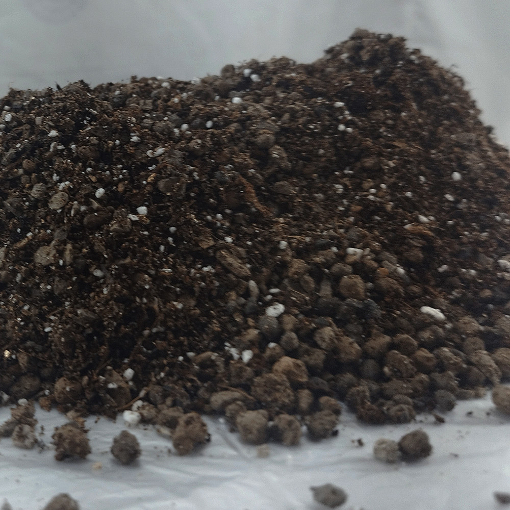 خاک کاکتوس و ساکلونت رویان گل مدل KS3 حجم 3لیتر