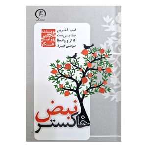 کتاب نبض خاکستر اثر مجتبی بهرامی آهنگر انتشارات الین
