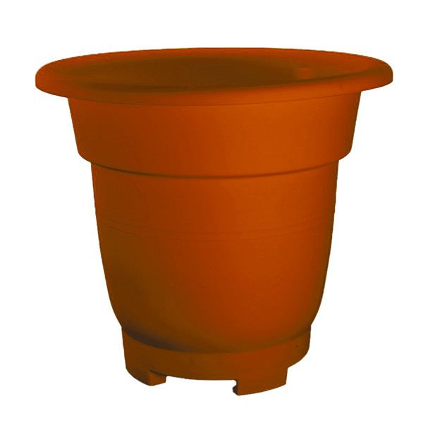 گلدان گلپونه مدل بنجامین F311