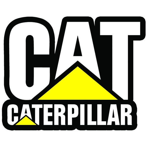 برچسب بدنه خودرو طرح CAT مدل افرود کد 10