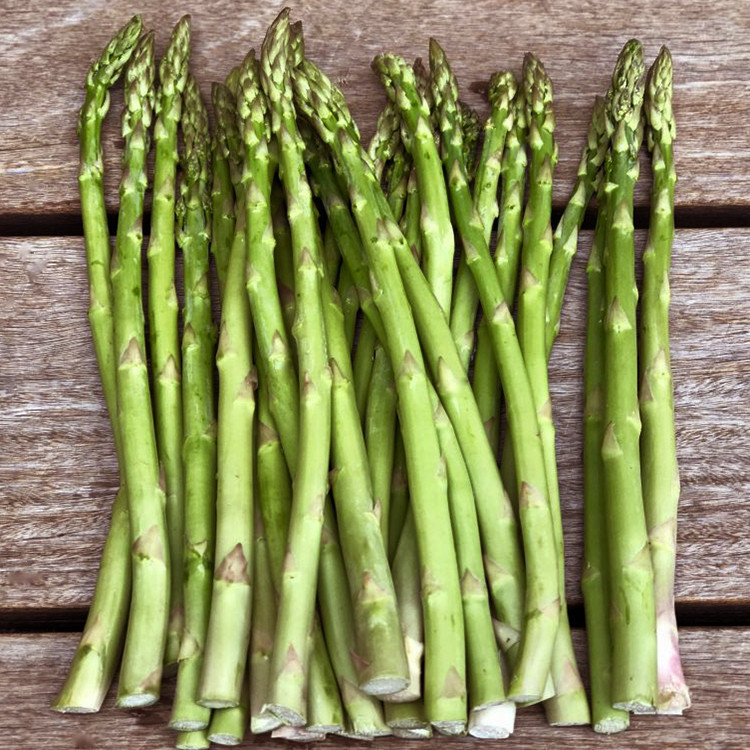 بذر مارچوبه سبز سانیا سید مدل ss11