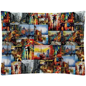 روبالشی رنس مدل P1-20100 سایز 50x70