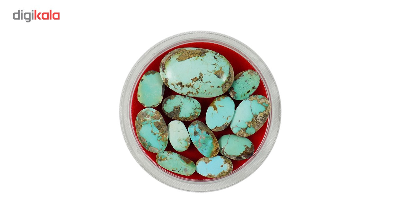 سنگ فیروزه نیشابور تاج گوهر کد TG210 بسته 12 عددی