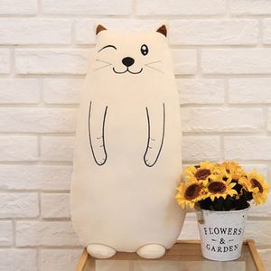 نقد و بررسی عروسک طرح گربه بالشتی ارتفاع 50 سانتی متر توسط خریداران