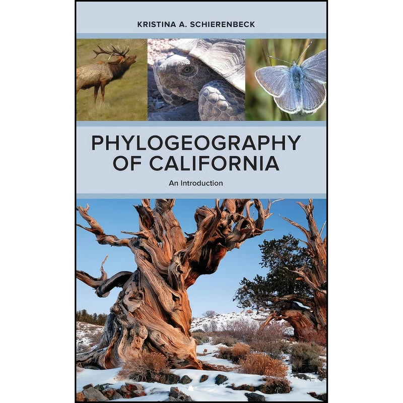 کتاب Phylogeography of California اثر Kristina A. Schierenbeck انتشارات University of California Press