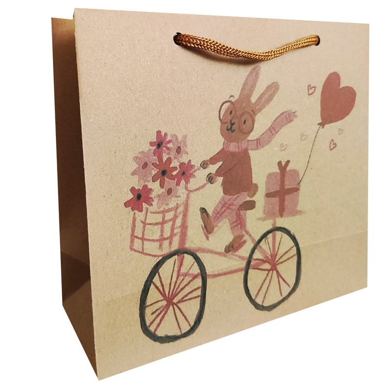 پاکت هدیه مدل خرگوش و دوچرخه مجموعه 5 عددی
