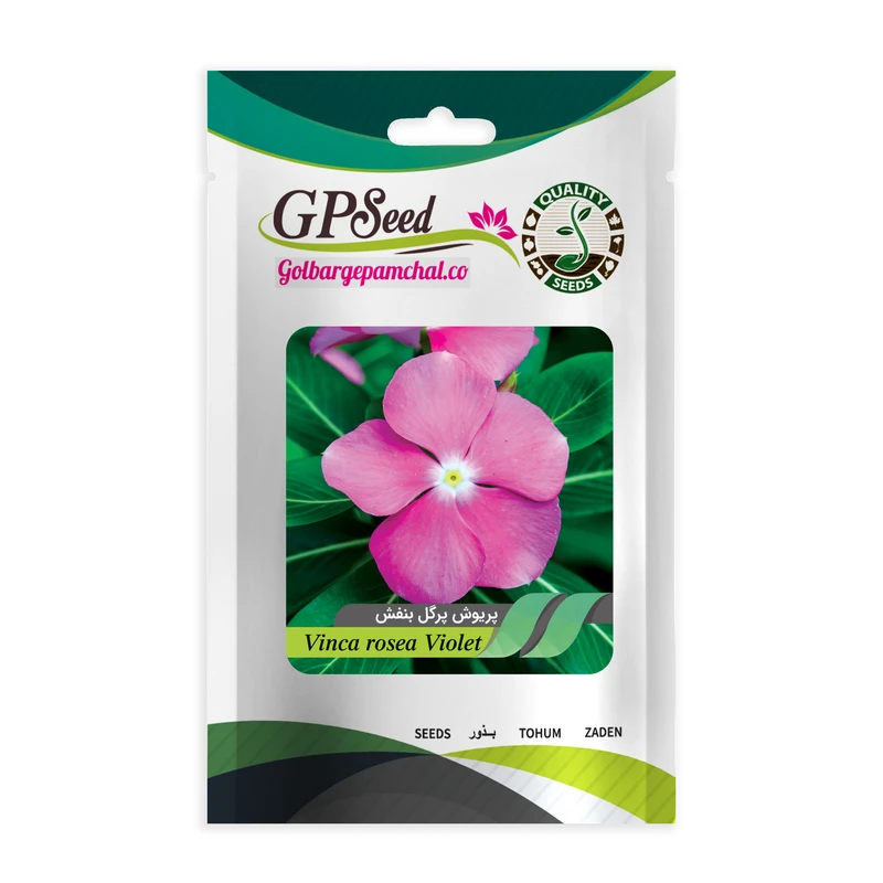 بذر گل پریوش پرگل بنفش گلبرگ پامچال کد GPF-239