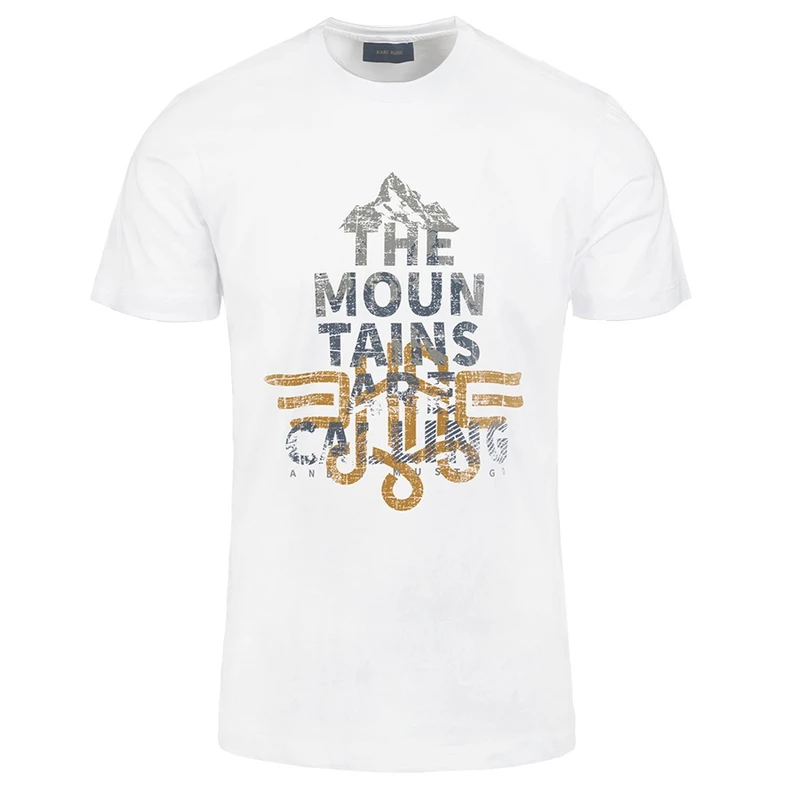 تی شرت آستین کوتاه مردانه مدل SB-SS-2243