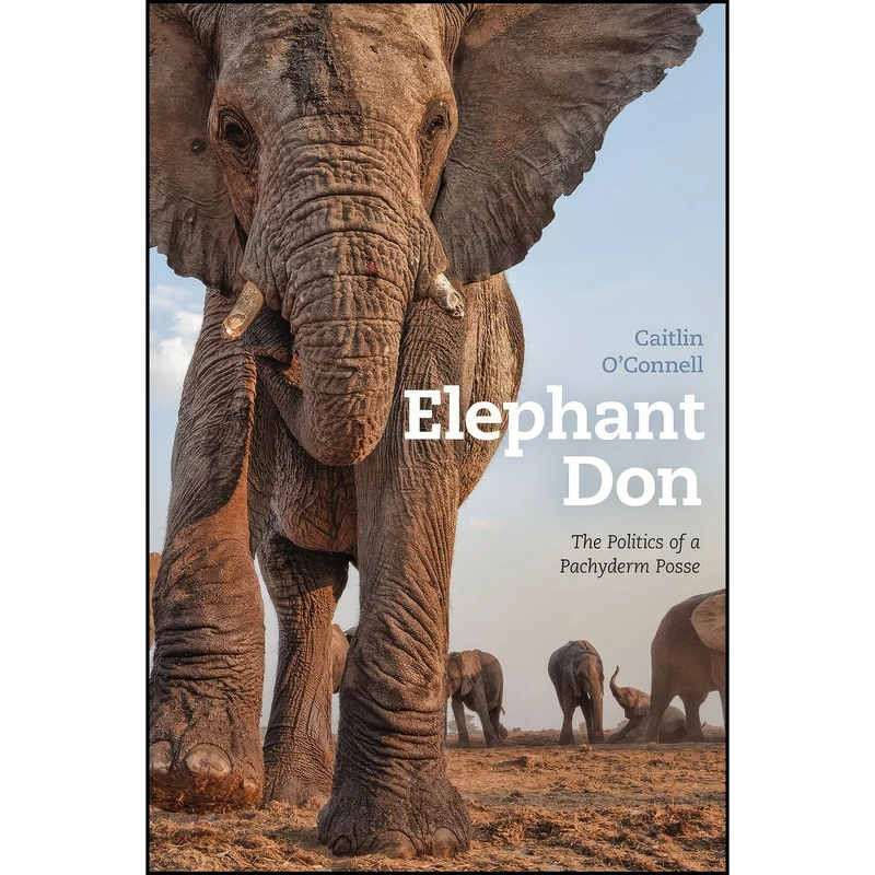 کتاب Elephant Don اثر Caitlin O Connell انتشارات University of Chicago Press