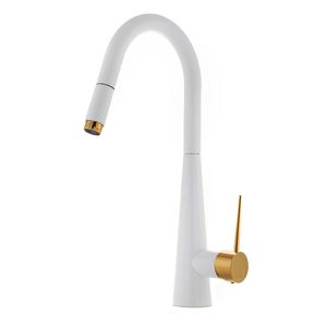 شیر آشپزخانه نایریکا مدل الیزا شاوری کد WG-02